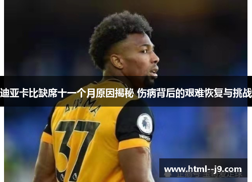 迪亚卡比缺席十一个月原因揭秘 伤病背后的艰难恢复与挑战